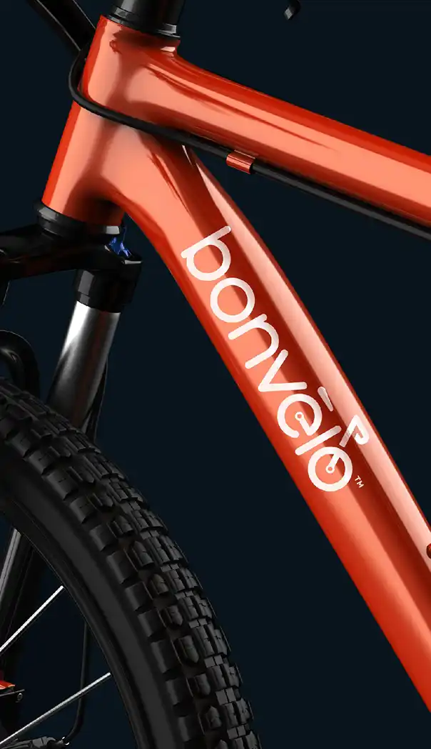 Bonvelo Branding